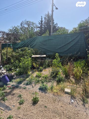 דירה, יהודה הלוי, אשקלון