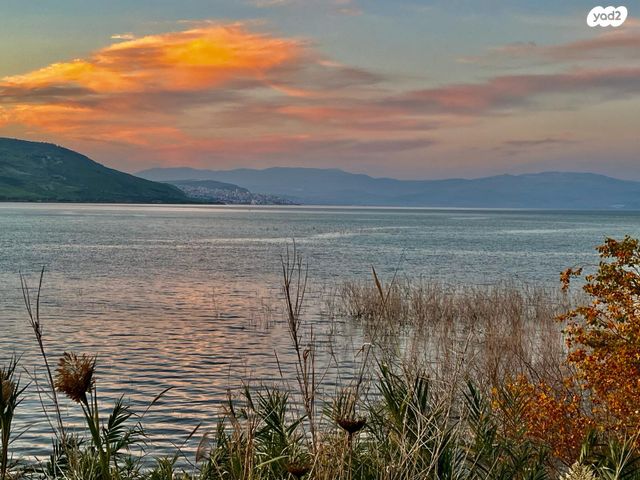 בית פרטי/ קוטג', מעגן