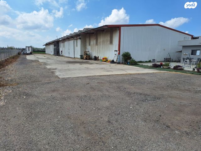 מחסנים, שדה עוזיהו