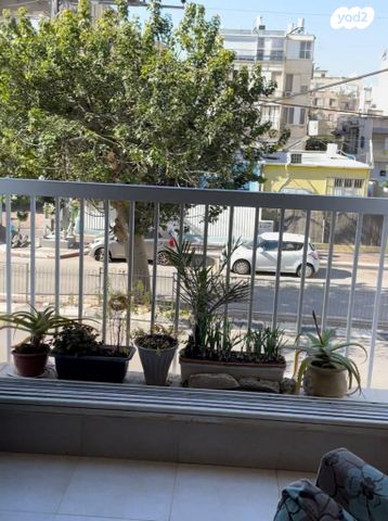 דירה, יהושע חנקין 81, רסקו א', חולון