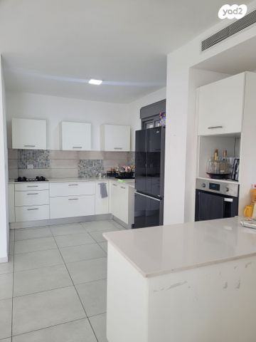 דירה, גפן, חריש