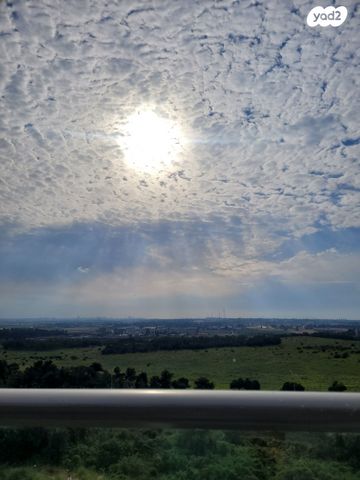 דירה, גפן, חריש