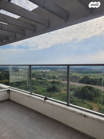 דירה, גפן, חריש