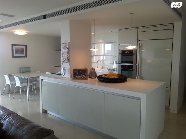 דופלקס, רמת אביב ג', תל אביב יפו