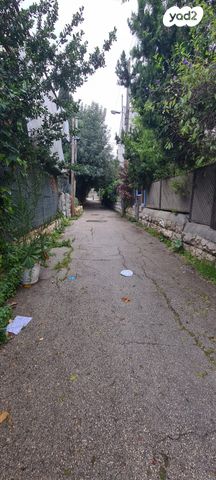 דירה, בקעה, ירושלים