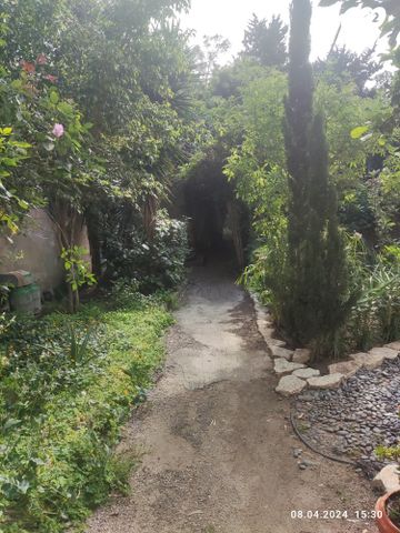 דירת גן