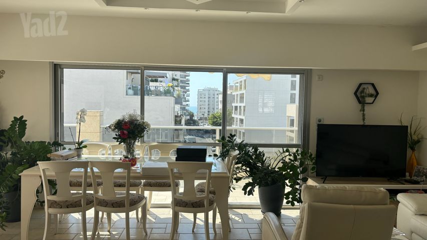 הרב קוקיס 25