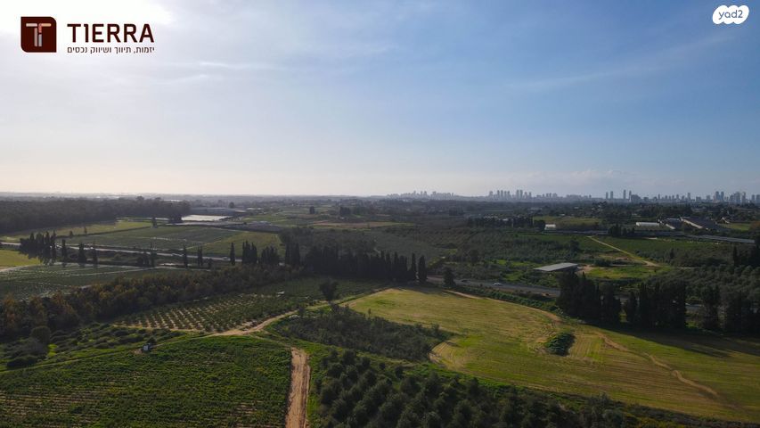 דירה, קדימה צורן