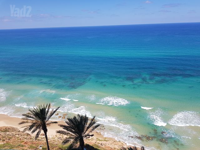 דירה