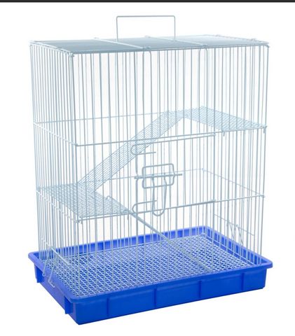 תמונת מודעה - חיות מחמד