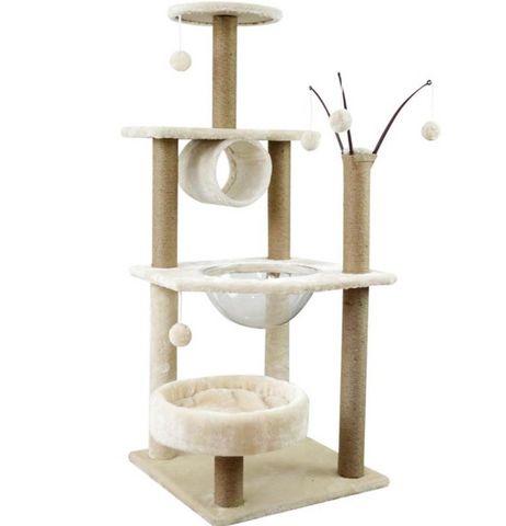 תמונת מודעה - חיות מחמד