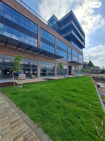 הכשרת היישוב 