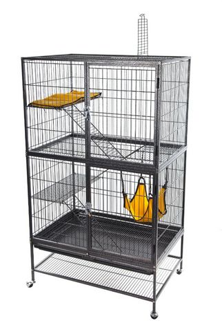 תמונת מודעה - חיות מחמד