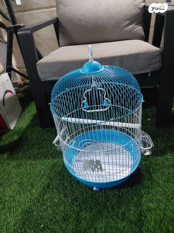 תמונת מודעה - חיות מחמד