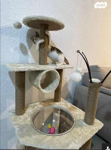 אביזרים | משחקים וצעצועים