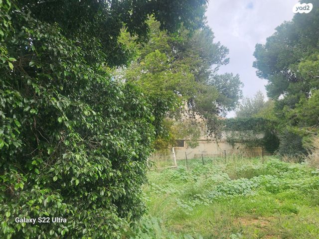 בית פרטי/ קוטג', זכרון יעקב