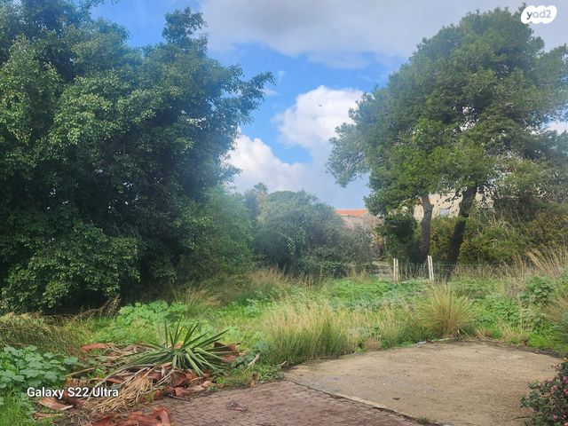 בית פרטי/ קוטג', זכרון יעקב