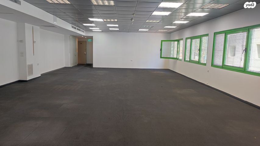 ראול ולנברג 