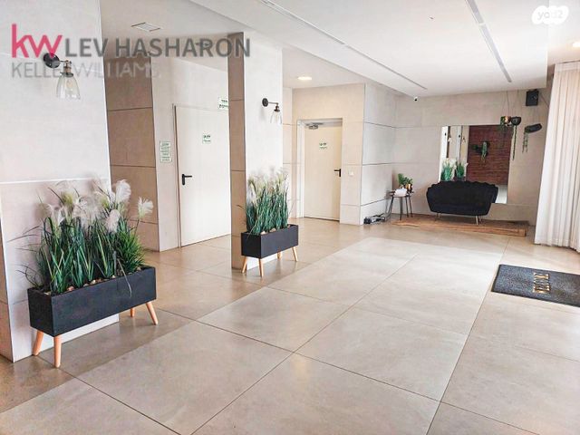 דירה, אהבת אדם, כפר יונה