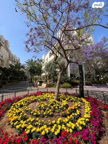 דירה, משה פרלוק, תל אביב יפו