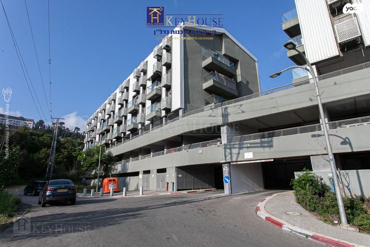 אריה לובה אליאב 