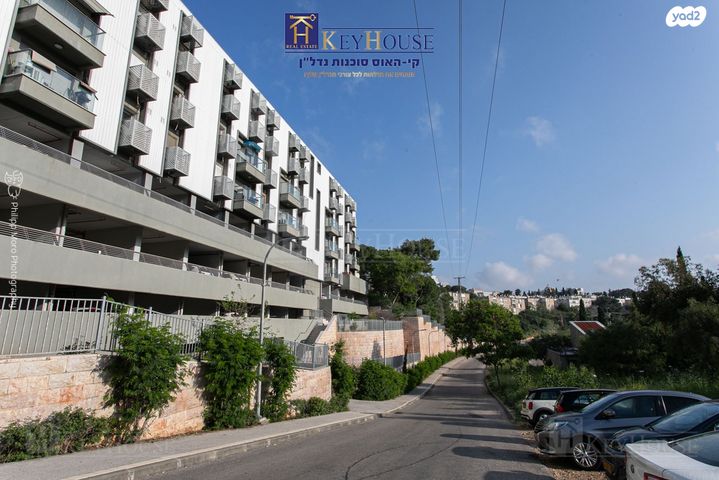 דירה, אריה לובה אליאב, זיו, חיפה