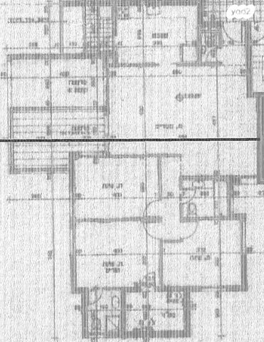 דירה, משה פרלוק, תל אביב יפו