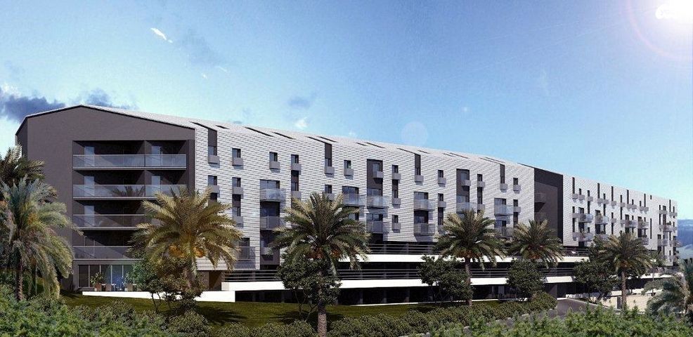 דירה, אריה לובה אליאב, זיו, חיפה