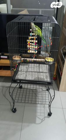 אביזרים | כלוב האכלת יד