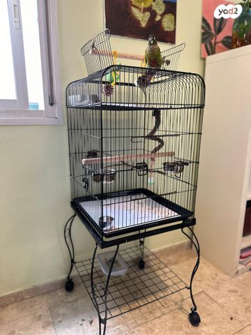 אביזרים | כלוב האכלת יד