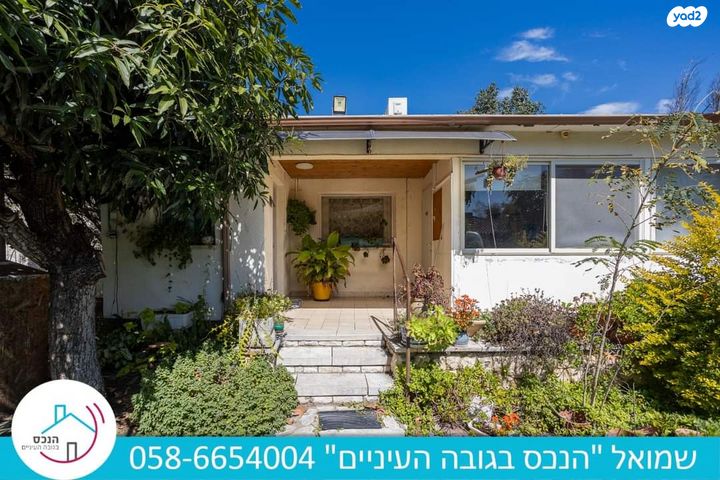 הותיקה