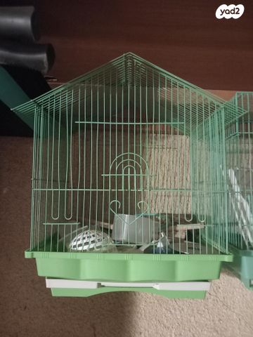 תמונת מודעה - חיות מחמד