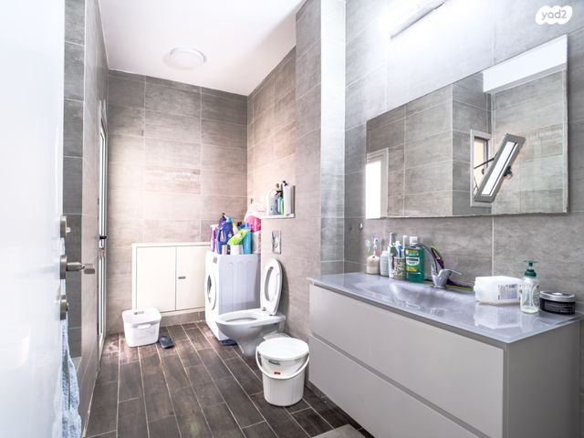 גג/ פנטהאוז, רמת הגולן 10, אריאל