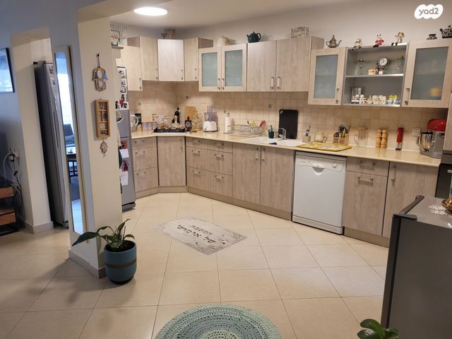 אהרון אשכולי 