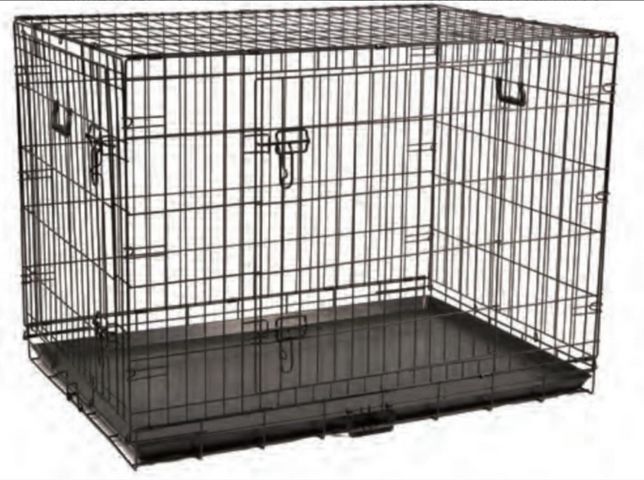 תמונת מודעה - חיות מחמד