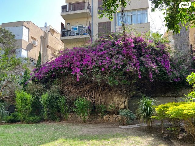 דירה, פרוג, הצפון הישן - דרום, תל אביב יפו