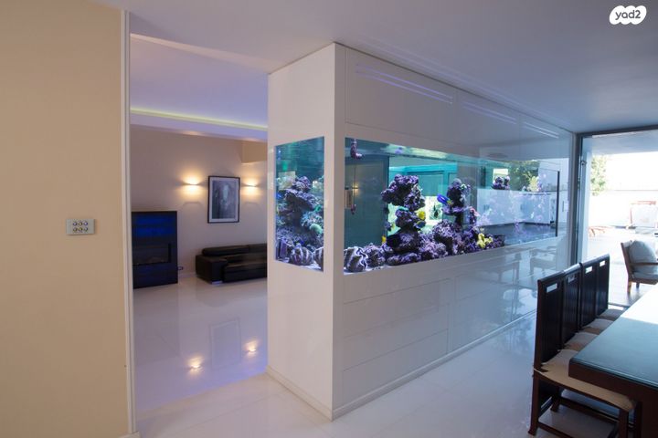 בית פרטי/ קוטג', הרצליה