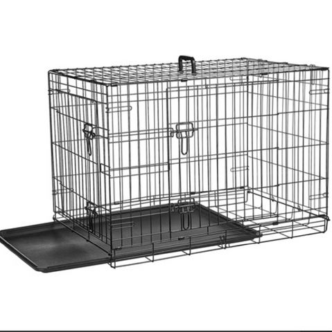 תמונת מודעה - חיות מחמד