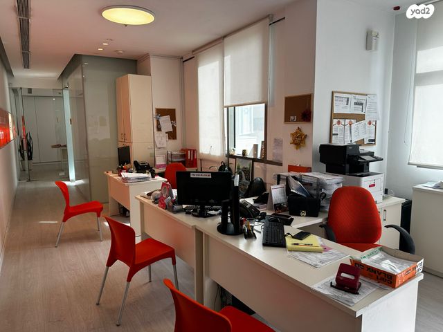 יצחק בן צבי 