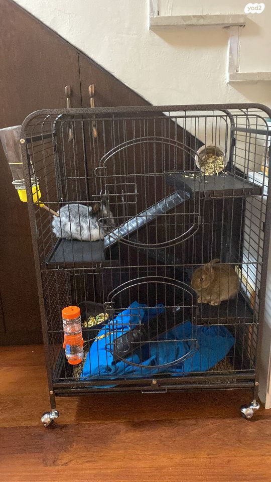 אביזרים | כלוב