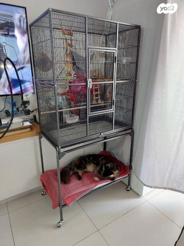 אביזרים | כלוב