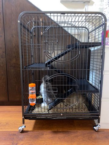 אביזרים | כלוב