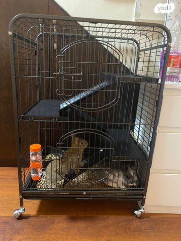 אביזרים | כלוב