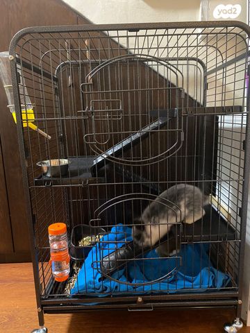 אביזרים | כלוב