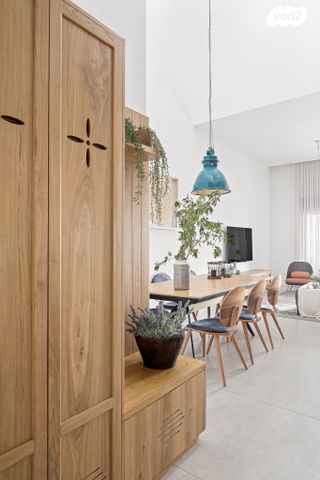 גג/ פנטהאוז, שייקה אופיר, כפר יונה