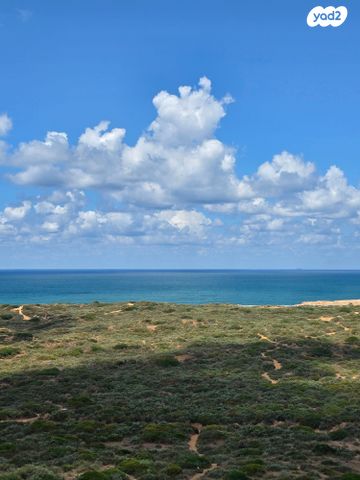 עוזי חיטמן 