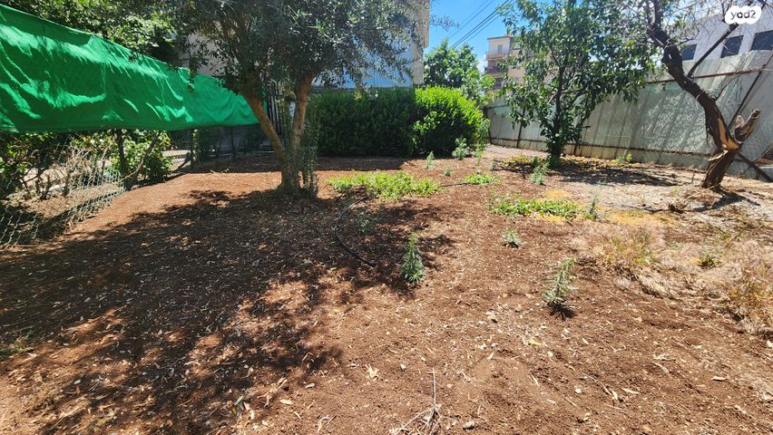 דירת גן, אוהל יעקב, טבריה