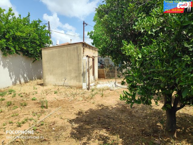 מגרשים, תל חי, גני אילן, קרית אונו