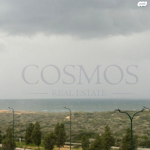 עוזי חיטמן 1