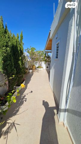 גג/ פנטהאוז, הגדוד העברי, רמב"ם, ראשון לציון